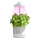 LED Binnenlamp voor het kweken van planten LED/5W/5V 3200K