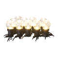 LED buiten decoratieve lichtsnoer 10xLED/10m IP44 transparant