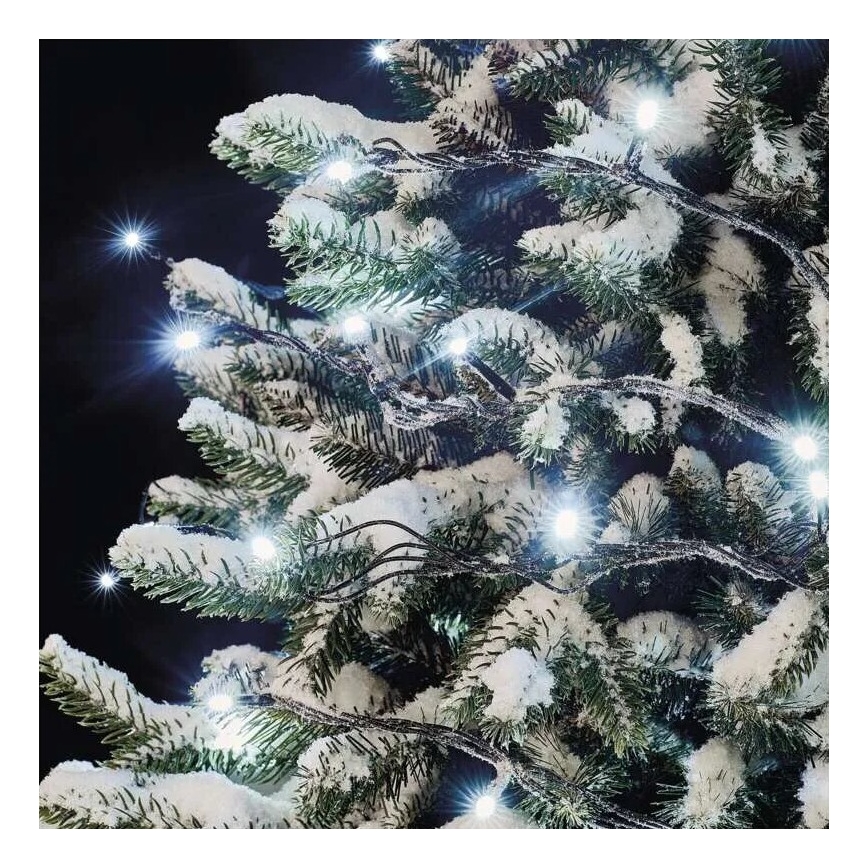 LED buiten kerstlichtsnoer 100xLED/10m IP44 koud wit