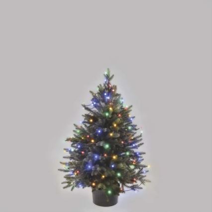 LED buiten kerstverlichting 80xLED/8 functies 13m multikleurig IP44