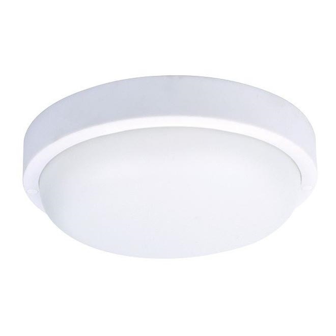 LED Buiten plafondlamp LED/20W/230V IP54