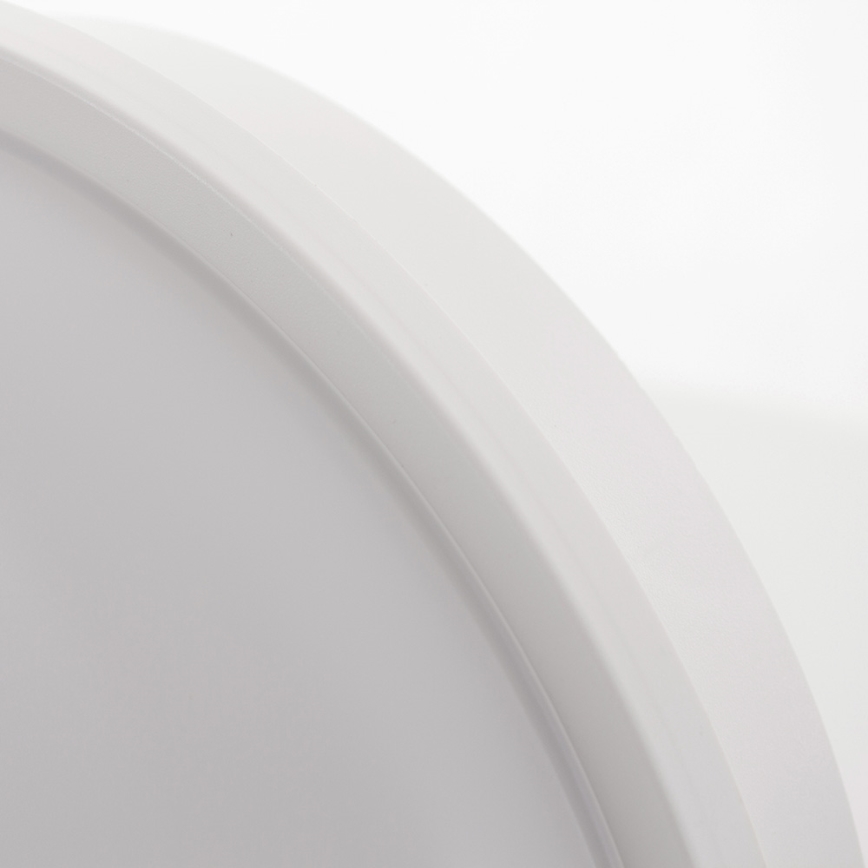 LED Buiten plafondlamp LED/20W/230V IP65