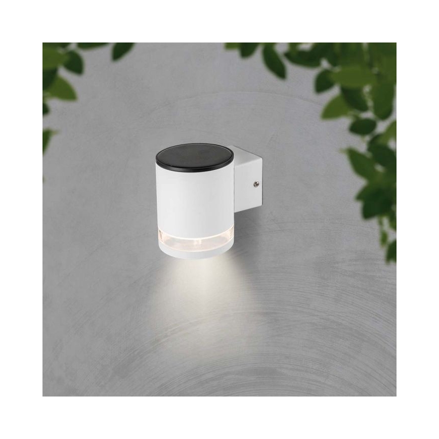LED Buiten zonne- wandlamp LED/1W/3,7V 3000K IP54 wit