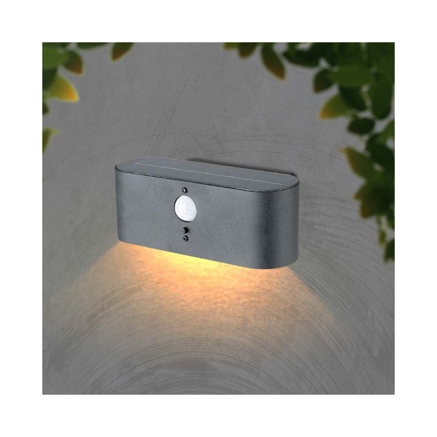 LED Buiten zonne- wandlamp met sensor LED/2,5W/3,7V 3000K IP54