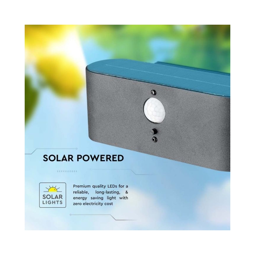 LED Buiten zonne- wandlamp met sensor LED/2,5W/3,7V 3000K IP54