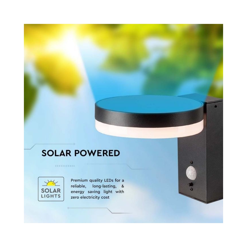 LED Buiten zonne- wandlamp met sensor LED/5,5W/3,7V 3000K IP54