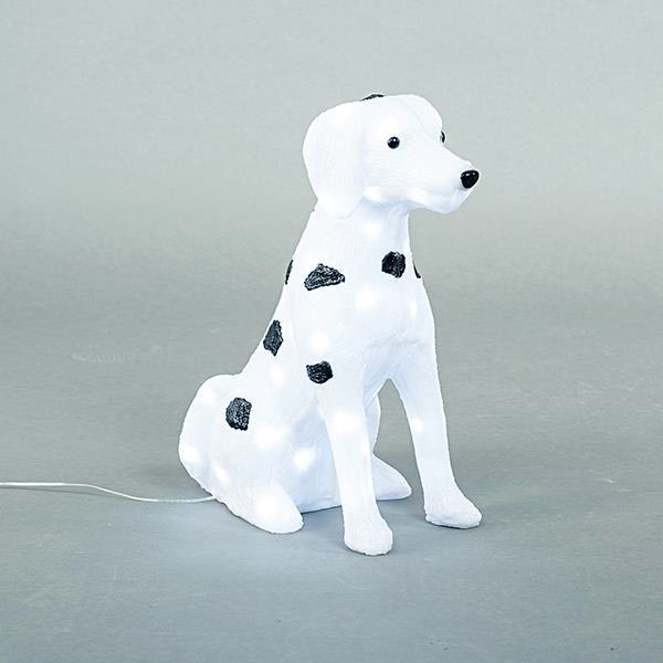 LED Buitendecoratie LED/3,6W/230V IP44 koud wit dalmatierpatroon