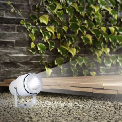 LED Buitenlamp LED/12W/100-240V IP65 wit - groen licht