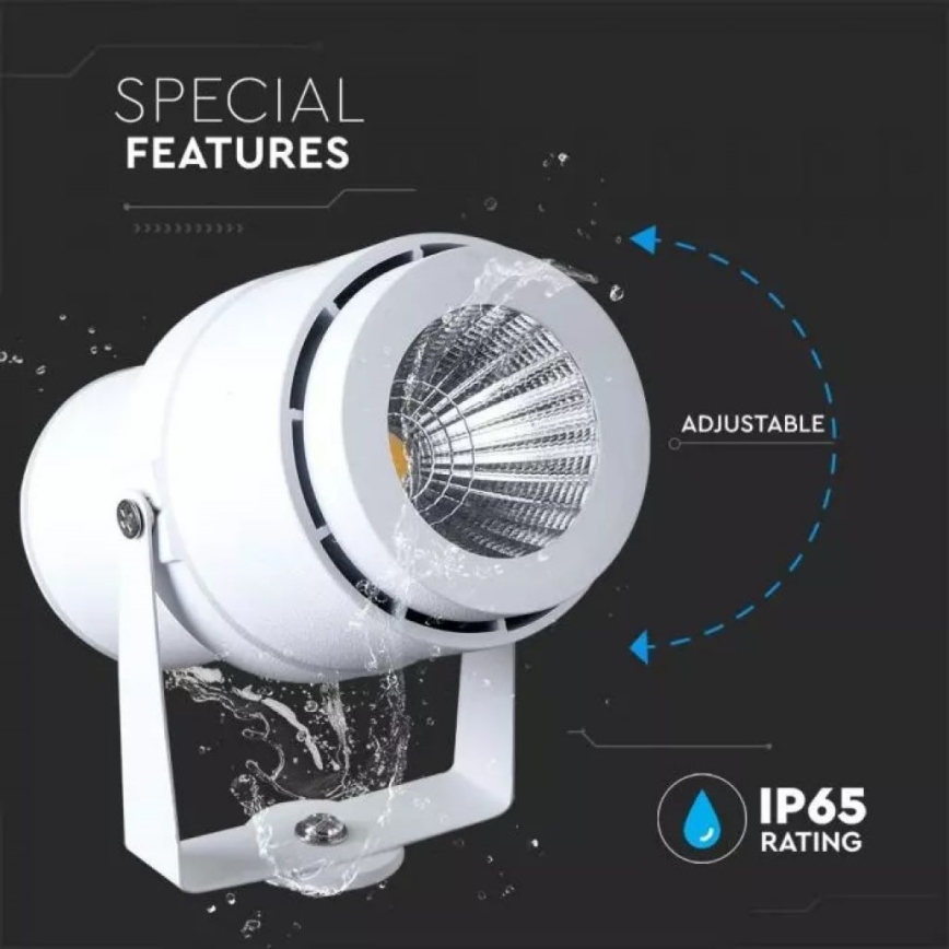 LED Buitenlamp LED/12W/100-240V IP65 wit - groen licht