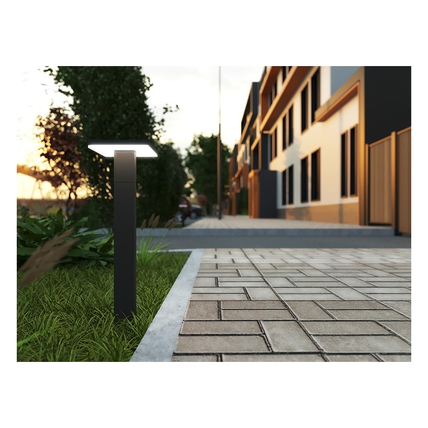 LED Buitenlamp met een sensor BARI LED/10W/230V 4000K 60 cm IP54 antraciet