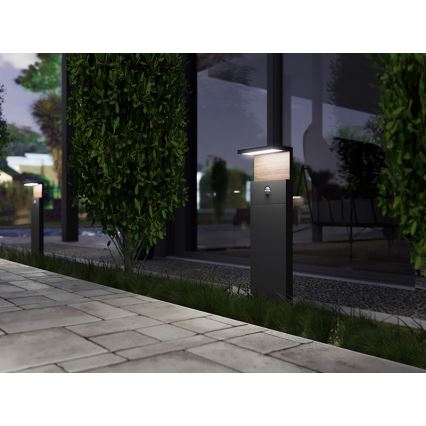 LED Buitenlamp met een sensor NATURA LED/12W/230V 4000K IP54 bruin/antraciet