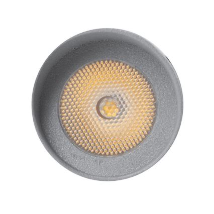 LED Buitenlamp  OKO 1xLED/1W/350mA IP54