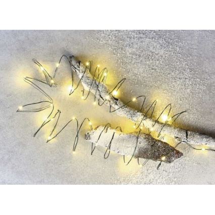 LED buitenlichtsnoer 40xLED/9m IP44 warm wit