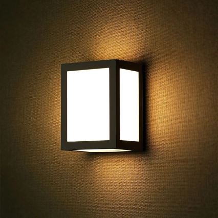LED buitenmuurlamp LED/12W/230V 3000K IP65 zwart