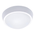 LED buitenplafondlamp 18W/230V IP65