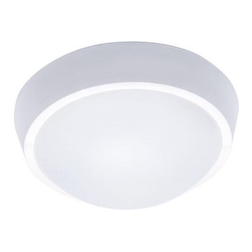 LED-buitenplafondlamp, 30W, 230V, IP65