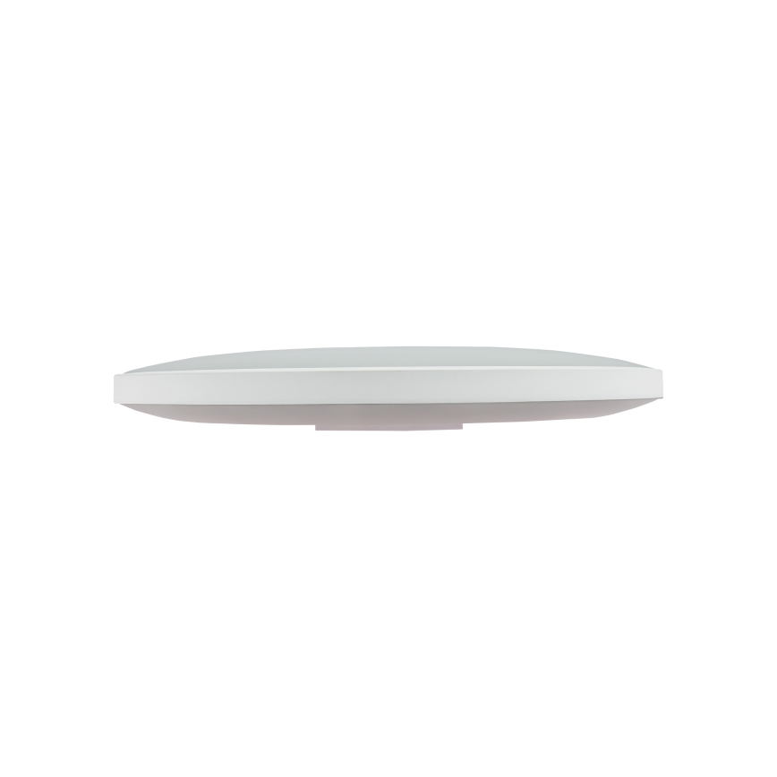 LED Buitenplafondlamp NYMPHEA LED/32W/230V IP54 3000K