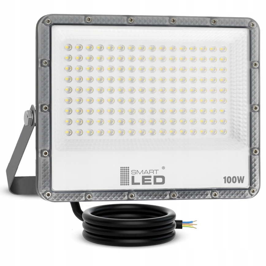 LED buitenschijnwerper LED/100W/230V 4500K IP65 grijs