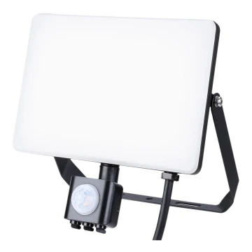 LED Buitenschijnwerper met een sensor LED/50W/230V 5000K IP44