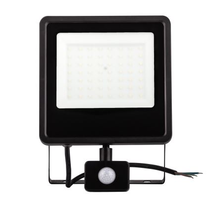 LED Buitenschijnwerper met sensor LED/20W/230V 4000K IP65 zwart