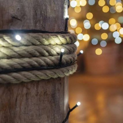 LED buitensnoer 100xLED/10m IP44 koel wit