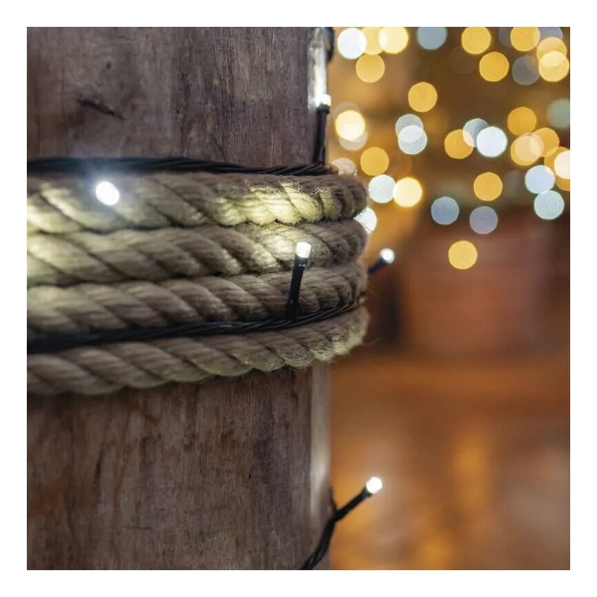 LED buitensnoer 100xLED/10m IP44 koel wit