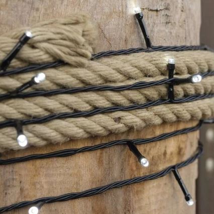 LED buitensnoer 100xLED/10m IP44 koel wit