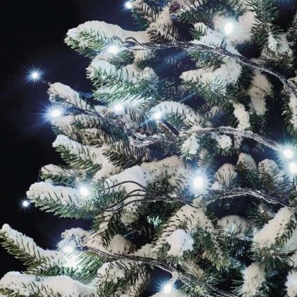 LED buitensnoer 100xLED/10m IP44 koel wit