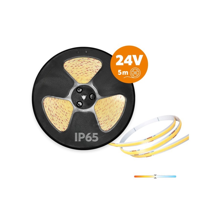 LED buitenstrip TRAMO LED/50W/24V 5m IP65 4000K