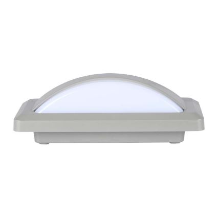 LED Buitenwandlamp LED/12W/230V 4000K IP65