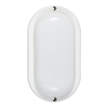 LED buitenwandlamp 12W/230V IP54 wit