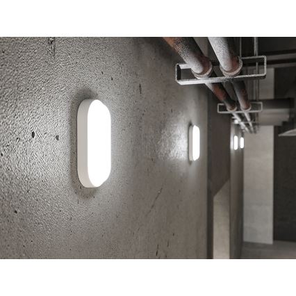 LED buitenwandlamp 12W/230V IP54 wit