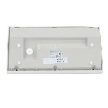 LED Buitenwandlamp LED/20W/230V 6400K IP65 wit