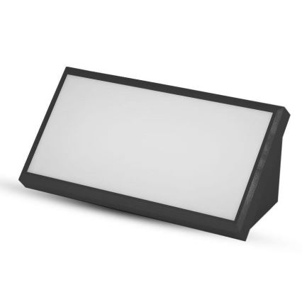 LED Buitenwandlamp LED/20W/230V 6400K IP65 zwart