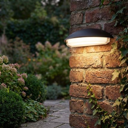 LED buitenwandlamp ALABAMA LED/12W/230V IP54 zwart