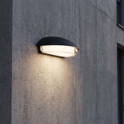 LED buitenwandlamp ALABAMA LED/12W/230V IP54 zwart
