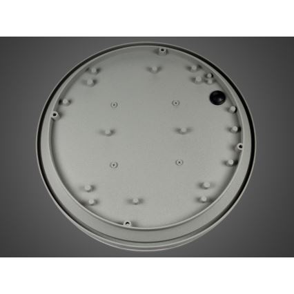 LED buitenwandlamp JONAS LED/18W/230V IP54 grijs