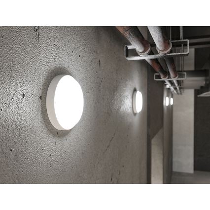 LED buitenwandlamp LED/18W/230V IP54 wit