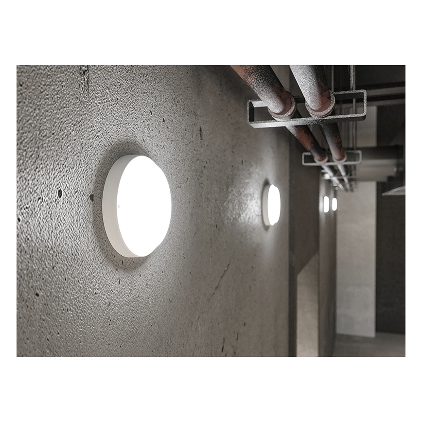 LED buitenwandlamp LED/18W/230V IP54 wit