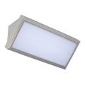 LED Buitenwandlamp LED/20W/230V 4000K IP65 grijs