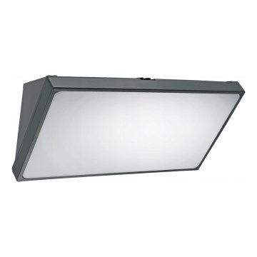 LED buitenwandlamp LED/20W/230V IP65 grijs