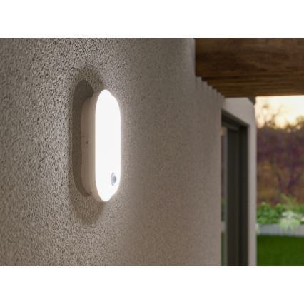 LED buitenwandlamp met bewegings- en schemersensor OVAL LED/10W/230V IP65 wit