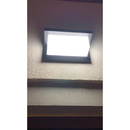 LED Buitenwandlamp met sensor LED/12W/230V IP54 zwart