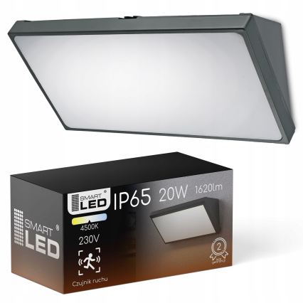 LED Buitenwandlamp met bewegingssensor LED/20W/230V IP65 grijs