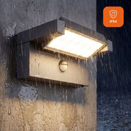 LED Buitenwandlamp met bewegings- en schemersensor LED/25W/230V 3000/4000/6500K IP54 zwart