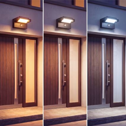 LED Buitenwandlamp met bewegings- en schemersensor LED/25W/230V 3000/4000/6500K IP54 zwart