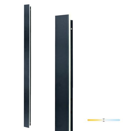 LED buitenwandlamp MIRANA LED/25W/230V 4000K IP44 120 cm zwart