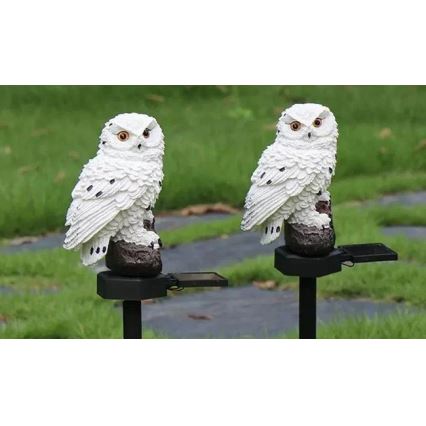 LED decoratieve zonneverlichting met sensor 6xLED/1,2V 3000K 40 cm 600 mAh IP44