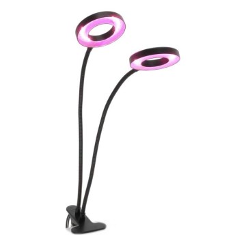 LED Dimbaar flexibel tafellamp met clip voor het kweken van planten VITARO 2xLED/4W/230V zwart