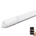 LED Dimbaar fluorescerend buis MESH Smart T8/10W/230V 6500K 60 cm - Aigostar